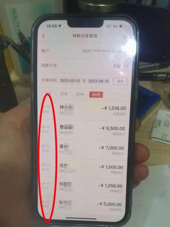 南京银行流水办理全攻略：从新手到老手的蜕变之路