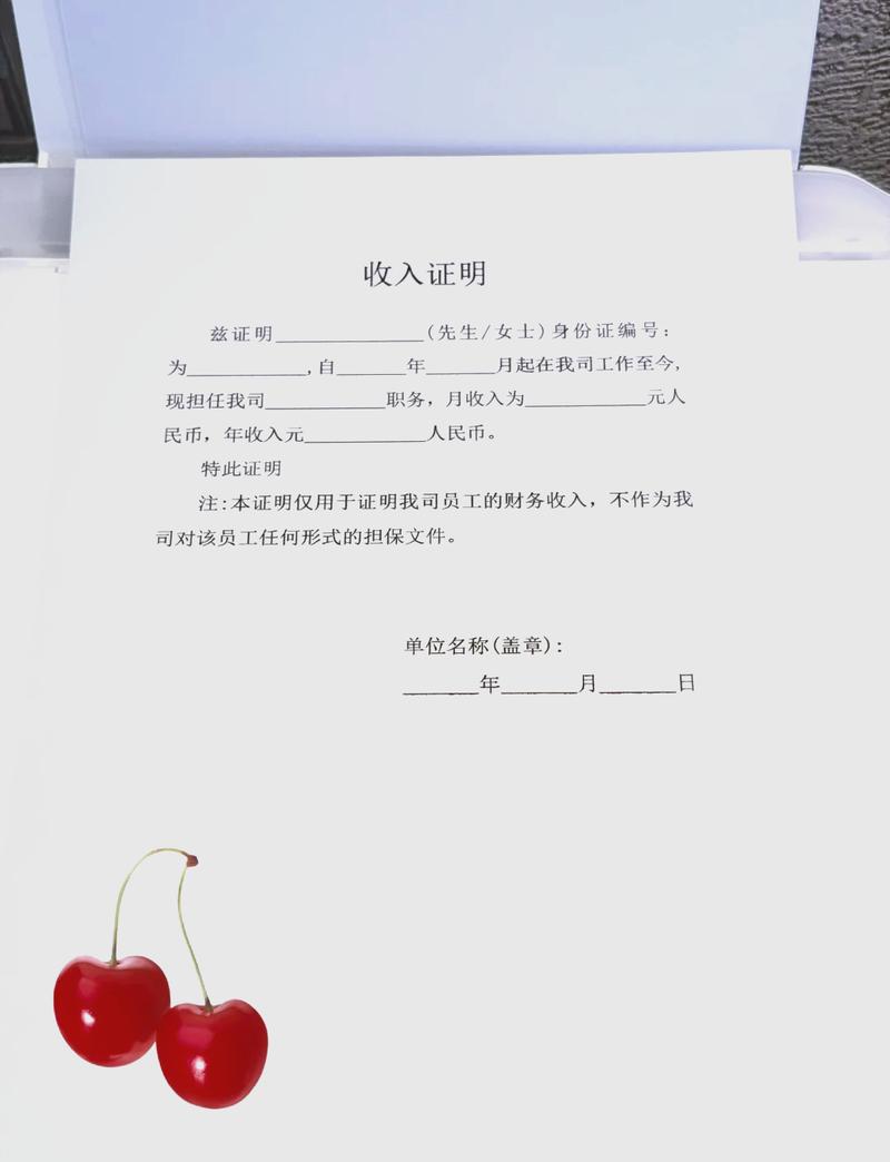 南京代开收入证明的正确姿势：张会计的突围战